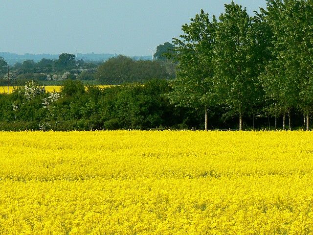 Could Brexit farm nature back to health?