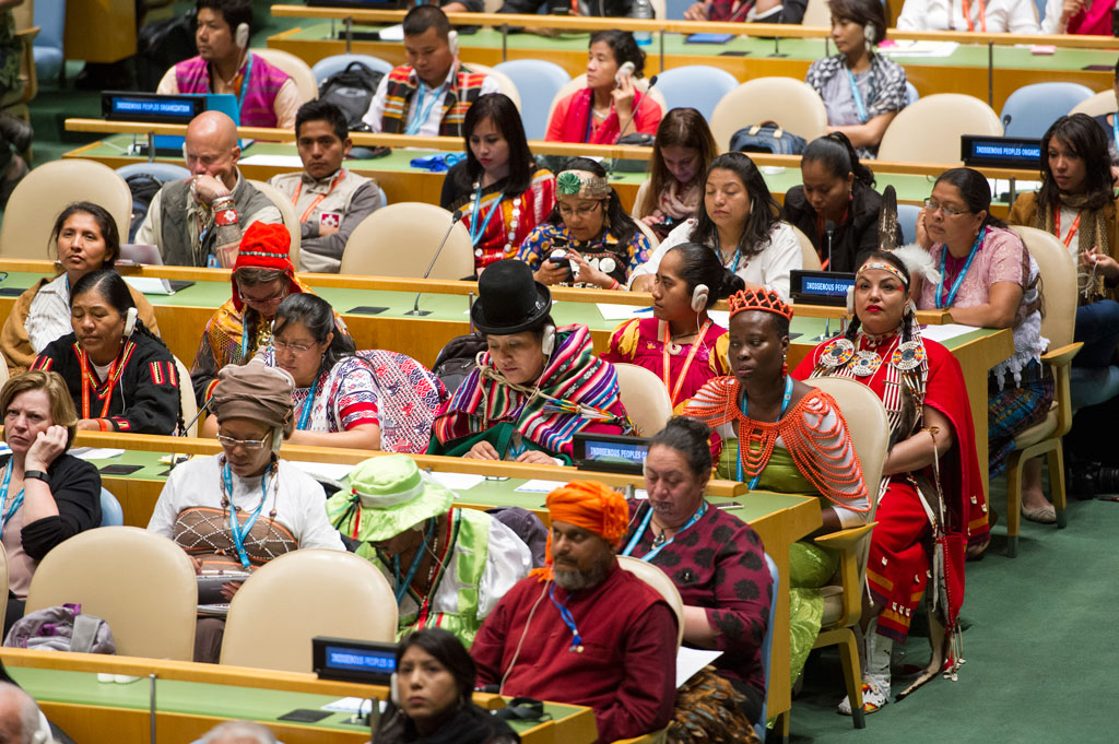 Walking the talk: Going national to make the SDGs beneficial for Indigenous Peoples