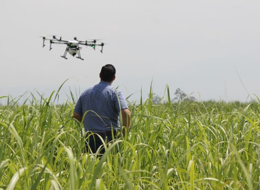 Is the sky the limit for drone technology in agriculture?